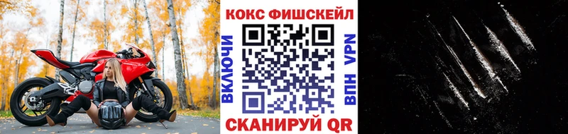 где купить наркоту  Воркута  КОКАИН Fish Scale 