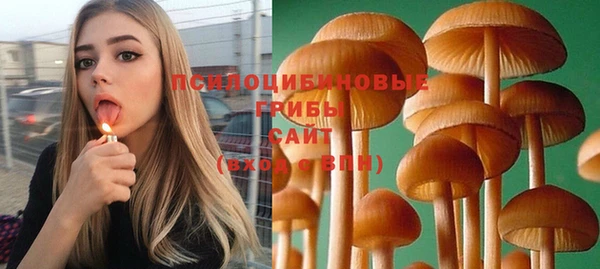 а пвп мука Белокуриха